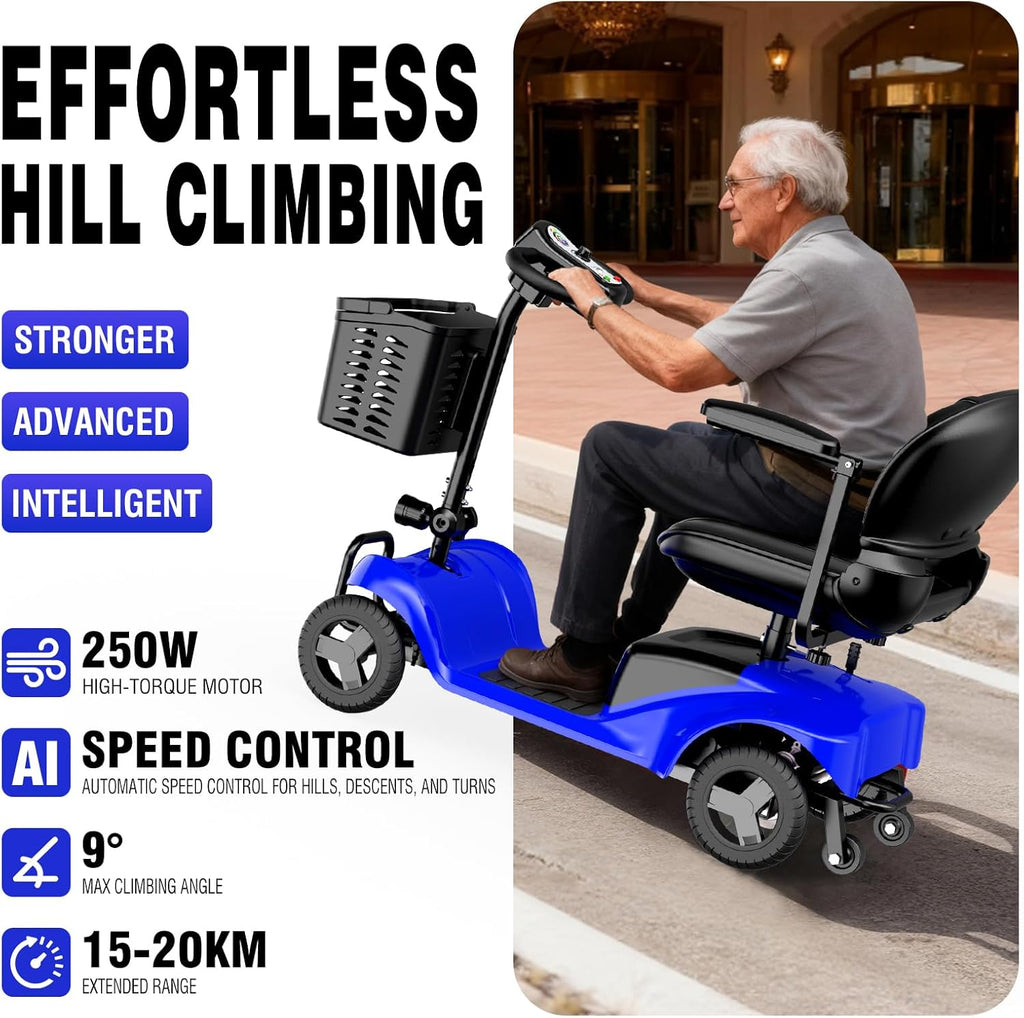 Mobility Scooter for Adults,4 Wheel Mobility Scooter,15 Miles Range,300W Battery